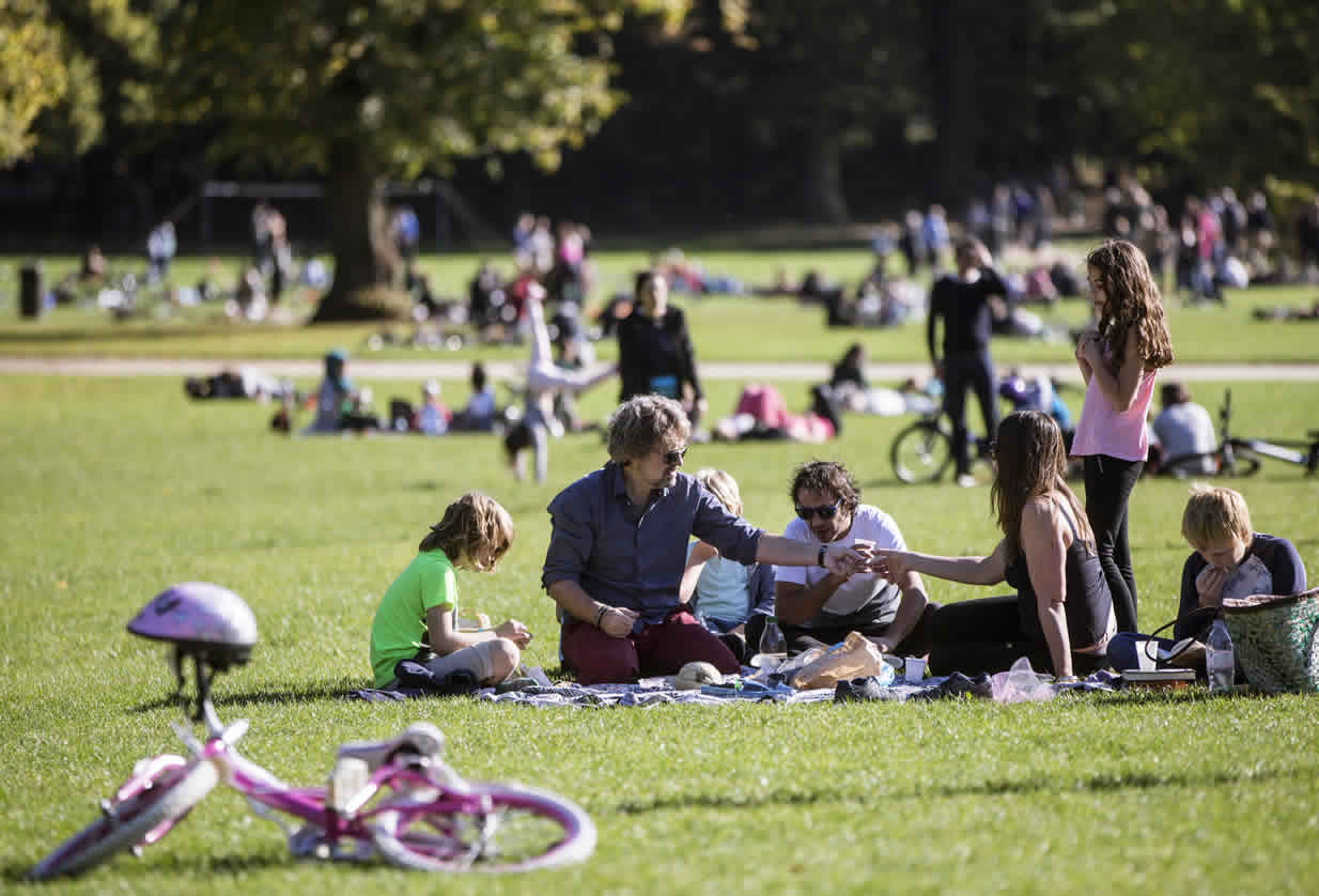 family_in_a_park_-_work-life_balance.jpg